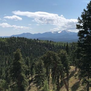 Meet your Posher, Shane